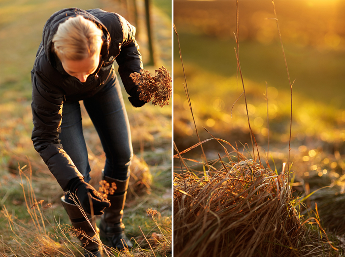 Portrait-Antje Januar-4