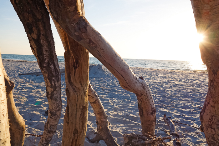 Fotograf-Zingst-7