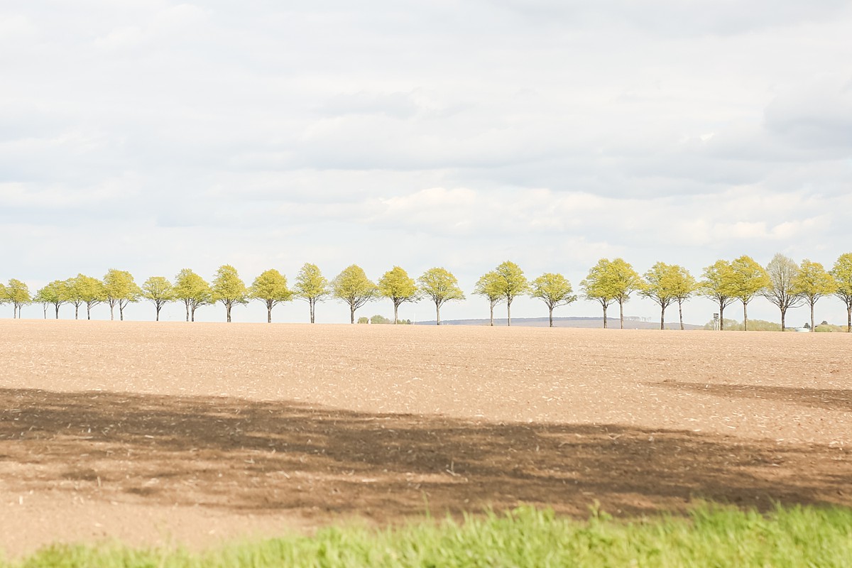 Hochzeitsfotograf-Hildesheim-Hannover-Fotograf_0091