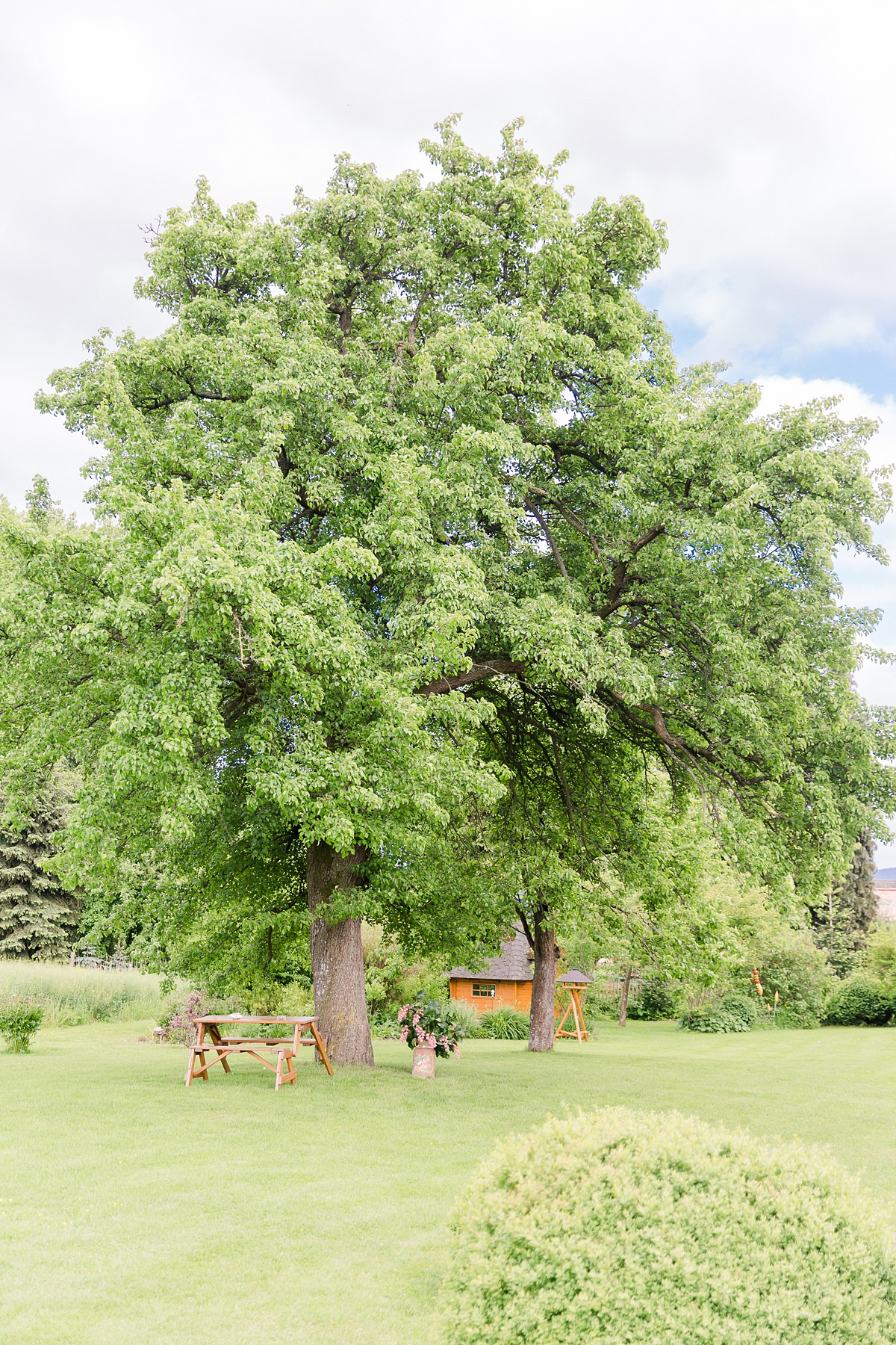 Hochzeitsfotograf-Wedding-Hildesheim-Salzhemmendorf-Marco-Huether-Fotograf_0075